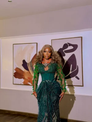 Dazzle Dress